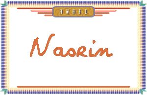 NasrinдӢ