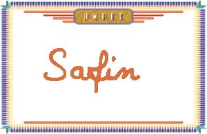 SafinдӢ