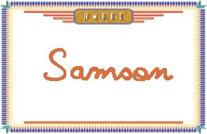 SamsonдӢ